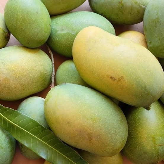চাঁপাইনবাবগঞ্জের আম 5