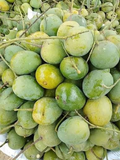 চাঁপাইনবাবগঞ্জের আম 1